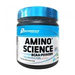 Ficha técnica e caractérísticas do produto BCAA 2:1:1 Powder Amino Science 300g - Performance Nutrition