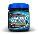 Ficha técnica e caractérísticas do produto Amino Science Bcaa Powder Laranja 600 G - Performance