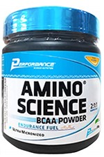 Ficha técnica e caractérísticas do produto Bcaa Pó Amino Science Powder Performance Nutrition 300 G - Laranja