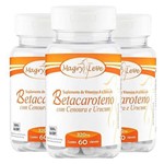 Betacaroteno - 3 Un de 60 Cápsulas - Apisnutri