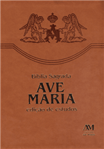 Ficha técnica e caractérísticas do produto Bíblia Ave Maria - Edição de Estudos