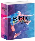 Ficha técnica e caractérísticas do produto Biblia Colorida Jovem - Capa Esporte Radical - Bv Books
