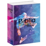 Ficha técnica e caractérísticas do produto Bíblia Colorida Jovem - Capa Esporte Radical