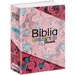 Ficha técnica e caractérísticas do produto Biblia Colorida Jovem Capa Feminina - Bvbooks