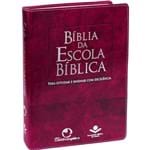 Ficha técnica e caractérísticas do produto Bíblia da Escola Bíblica Ra - Luxo Púrpura Nobre