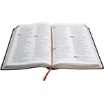 Ficha técnica e caractérísticas do produto Bíblia da Liderança Cristã