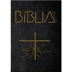 Ficha técnica e caractérísticas do produto Biblia de Aparecida - Letra Grande Preta - Santuario