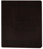 Ficha técnica e caractérísticas do produto Biblia de Estudo Colorida - Capa Vinho - Bv Books
