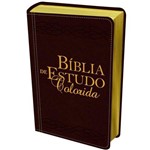 Ficha técnica e caractérísticas do produto Bíblia de Estudo Colorida - Letra Grande