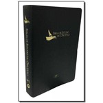 Ficha técnica e caractérísticas do produto Biblia de Estudo do Discipulo - Preta