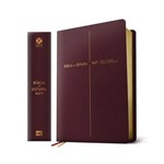 Bíblia de Estudo - Nvt - Capa Vinho