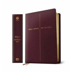 Ficha técnica e caractérísticas do produto Bíblia de Estudo Nvt Vinho