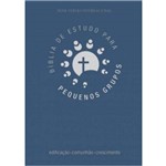 Ficha técnica e caractérísticas do produto Biblia de Estudo para Pequenos Grupos (Azul)