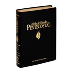 Ficha técnica e caractérísticas do produto Bíblia de Estudo Pentecostal Grande - Luxo Preta - Cpad
