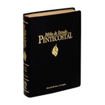 Ficha técnica e caractérísticas do produto Bíblia de Estudo Pentecostal Grande - Luxo Preta