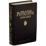Ficha técnica e caractérísticas do produto Bíblia De Estudo Pentecostal Média C/ Harpa