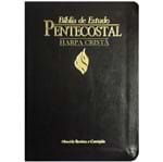 Ficha técnica e caractérísticas do produto Bíblia de Estudo Pentecostal Pequena com Harpa Preta