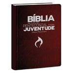 Ficha técnica e caractérísticas do produto Biblia De Estudo Pentecostal Media Vinho