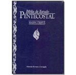 Ficha técnica e caractérísticas do produto Bíblia de Estudo Pentecostal - Peq.Harpa - (Azul)