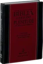 Ficha técnica e caractérísticas do produto Bíblia de Estudo Plenitude Couro Sintético Preta e Vinho - Rc