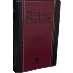 Ficha técnica e caractérísticas do produto Bíblia de Estudo Plenitude