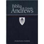Ficha técnica e caractérísticas do produto Bíblia de Estudos Andrews - Capa Azul