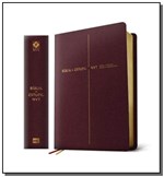 Ficha técnica e caractérísticas do produto Biblia De Estudos - Nvt - Vinho - Mundo Cristao