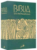 Ficha técnica e caractérísticas do produto Biblia do Peregrino - Encadernada - Paulus