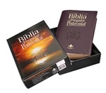 Ficha técnica e caractérísticas do produto Bíblia do Pregador Pentecostal - Vinho - Sbb