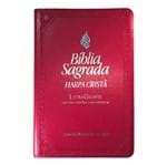 Ficha técnica e caractérísticas do produto Bíblia e Harpa RC Letra Gigante Pink