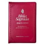 Ficha técnica e caractérísticas do produto Bíblia e Harpa RC Letra Gigante Ziper Pink