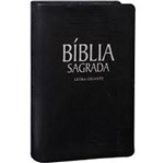 Ficha técnica e caractérísticas do produto Biblia Letra Gigante Indice Digital Couro Sintetico Preto Ra065tilgi - Sbb