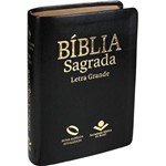 Ficha técnica e caractérísticas do produto Bíblia Nova Almeida Atualizada Pequena Letra Grande - Preta Nobre