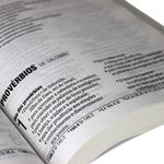 Ficha técnica e caractérísticas do produto Biblia Nova Almeida - Brochura Letra Grande - Geométrico