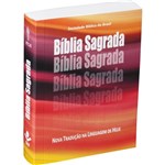 Ficha técnica e caractérísticas do produto Bíblia Ntlh - Edição Econômica - Capa Brochura