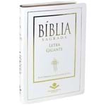 Ficha técnica e caractérísticas do produto Bíblia NTLH Letra Gigante Luxo Branca