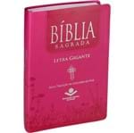 Ficha técnica e caractérísticas do produto Bíblia NTLH Letra Gigante Luxo com Índice Pink