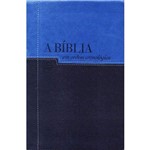 Ficha técnica e caractérísticas do produto Bíblia Nvi em Ordem Cronológica - Capa Azul Claro e Escuro - Vida