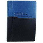 Ficha técnica e caractérísticas do produto Bíblia Nvi em Ordem Cronológica - Luxo Azul Claro e Escuro