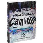 Ficha técnica e caractérísticas do produto Bíblia Sagrada Caminho para Jovens e Adolescentes - Semi Flexivel Ilustrada