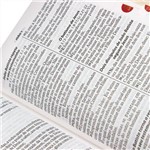 Ficha técnica e caractérísticas do produto Bíblia Sagrada com Notas, Índice e Referências - Letra Gigante - Marrom Nobre