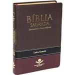 Ficha técnica e caractérísticas do produto Bíblia Sagrada Dicionário e Concordância Letra Grande