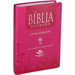 Ficha técnica e caractérísticas do produto Biblia Sagrada Letra Gigante Ntlh Rosa Pink com Indice Lateral