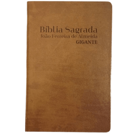 Ficha técnica e caractérísticas do produto Bíblia Sagrada Letra Gigante RC Marrom