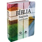 Ficha técnica e caractérísticas do produto Biblia Sagrada Letra Grande