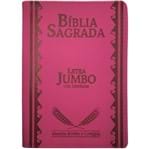 Ficha técnica e caractérísticas do produto Bíblia Sagrada Letra Jumbo Pink