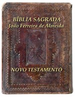 Ficha técnica e caractérísticas do produto Bíblia Sagrada Novo Testamento (Série de Gays e Lésbicas)