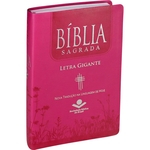 Ficha técnica e caractérísticas do produto Bíblia Sagrada NTLH Letra Gigante - Luxo Pink