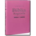 Ficha técnica e caractérísticas do produto Bíblia Sagrada para Evangelização