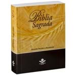 Ficha técnica e caractérísticas do produto Bíblia Sagrada Pequena RA Trigo